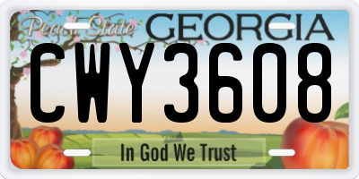 GA license plate CWY3608