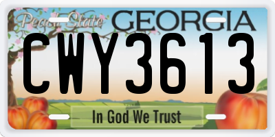 GA license plate CWY3613