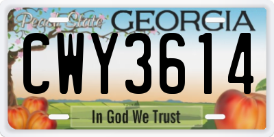 GA license plate CWY3614