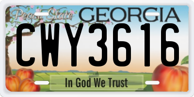 GA license plate CWY3616