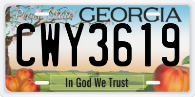 GA license plate CWY3619