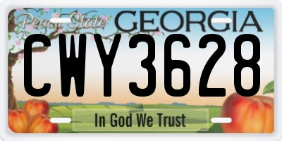 GA license plate CWY3628