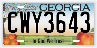 GA license plate CWY3643