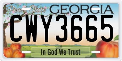 GA license plate CWY3665