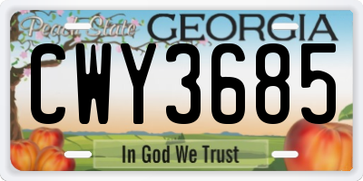 GA license plate CWY3685