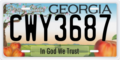 GA license plate CWY3687