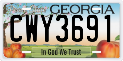 GA license plate CWY3691