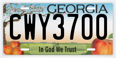 GA license plate CWY3700