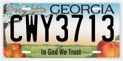 GA license plate CWY3713