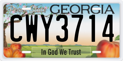 GA license plate CWY3714