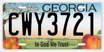 GA license plate CWY3721