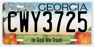 GA license plate CWY3725