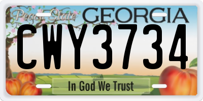 GA license plate CWY3734