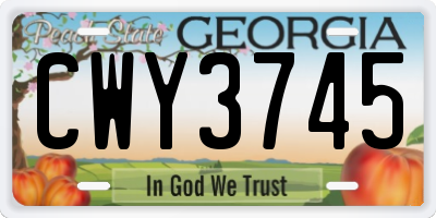 GA license plate CWY3745
