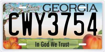 GA license plate CWY3754