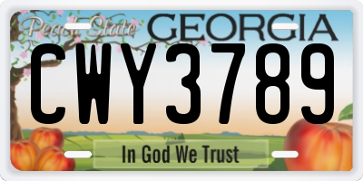 GA license plate CWY3789