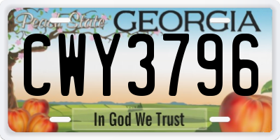 GA license plate CWY3796