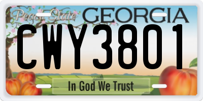 GA license plate CWY3801
