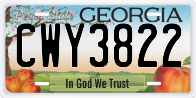 GA license plate CWY3822