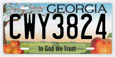 GA license plate CWY3824