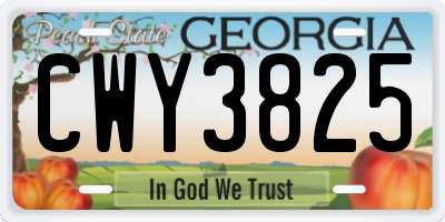 GA license plate CWY3825
