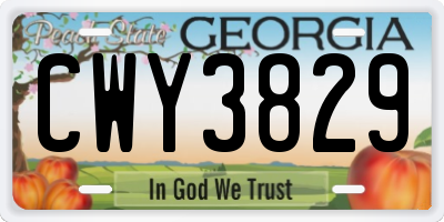 GA license plate CWY3829