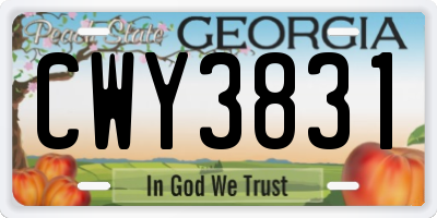 GA license plate CWY3831