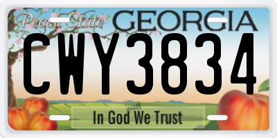 GA license plate CWY3834
