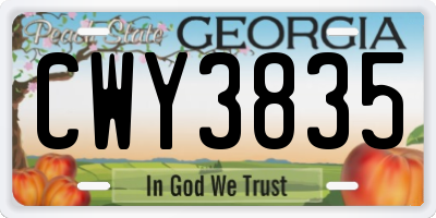 GA license plate CWY3835