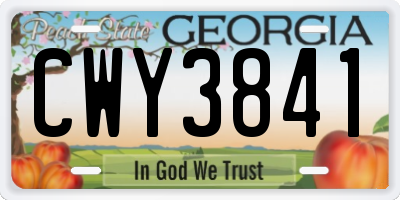 GA license plate CWY3841