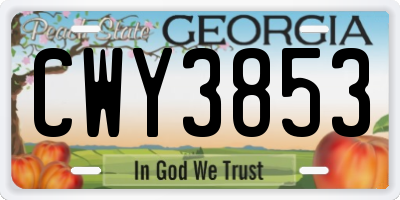 GA license plate CWY3853