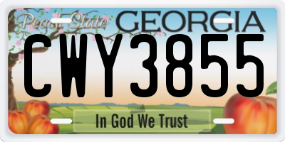 GA license plate CWY3855