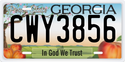 GA license plate CWY3856