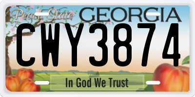 GA license plate CWY3874