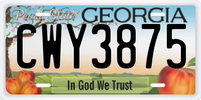 GA license plate CWY3875