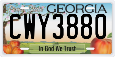 GA license plate CWY3880
