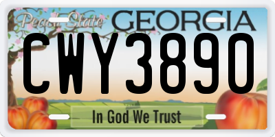 GA license plate CWY3890