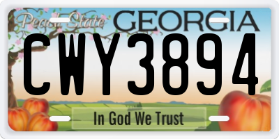 GA license plate CWY3894