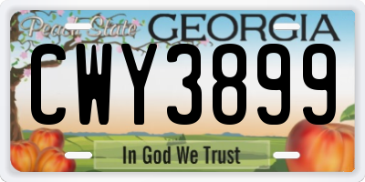 GA license plate CWY3899