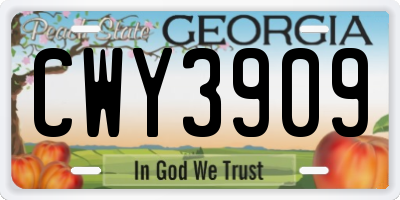 GA license plate CWY3909
