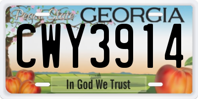 GA license plate CWY3914