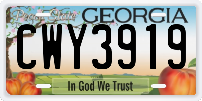 GA license plate CWY3919