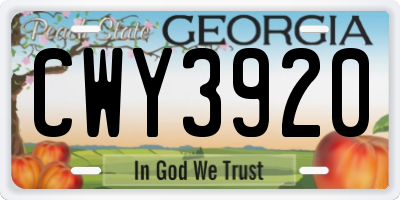 GA license plate CWY3920