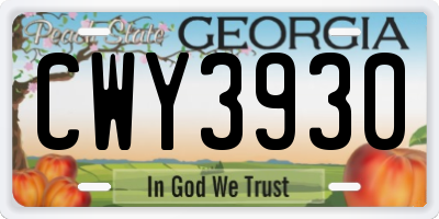 GA license plate CWY3930