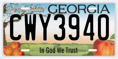 GA license plate CWY3940