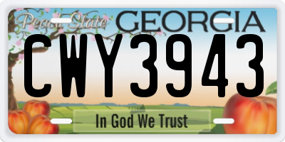 GA license plate CWY3943