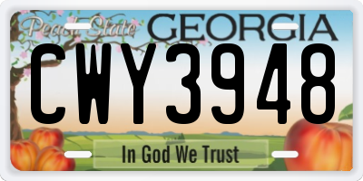 GA license plate CWY3948