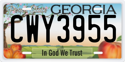 GA license plate CWY3955