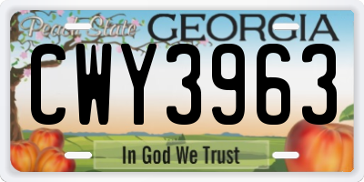 GA license plate CWY3963