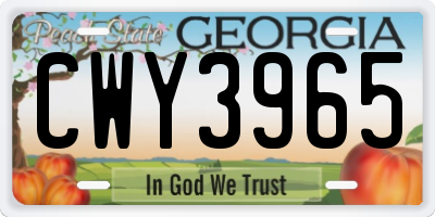 GA license plate CWY3965